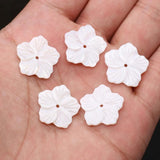 10pcs Natural Freshwater Mother of Pearl Shell Beads for Women Necklace Jewelry