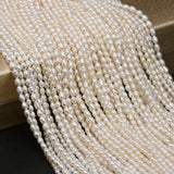 Freshwater Pearl Beads Irregular Rice Pearls for Jewelry Making DIY