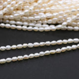 Freshwater Pearl Beads Irregular Rice Pearls for Jewelry Making DIY