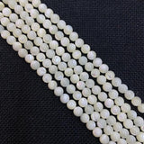 Natural Sea Scallop Bead Charm Mother-of-Pearl Jewelry Making DIY