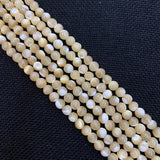Natural Sea Scallop Bead Charm Mother-of-Pearl Jewelry Making DIY