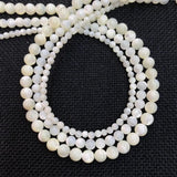 Natural Sea Scallop Bead Charm Mother-of-Pearl Jewelry Making DIY