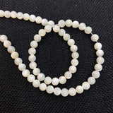 Natural Sea Scallop Bead Charm Mother-of-Pearl Jewelry Making DIY