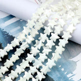 Freshwater Pearl Shell Star Snail Shell Beads Diy Jewelry Accessories
