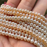Natural Cultured Pearl Rondelle Beads 4x6mm