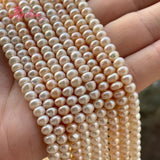 Natural Cultured Pearl Rondelle Beads 4x6mm