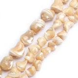 Mother of Pearl Shell Beads for Jewelry Making DIY 7mm-16mm
