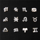 Zodiac Sign Mother Of Pearl Shell Bead Seashell Jewelry