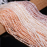 Freshwater Pearl Rice Beads for DIY Jewelry