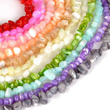 Multicolor Shell Pearl Beads Loose Spacer Beads 8mm