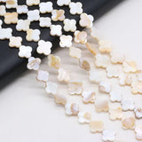 Freshwater Shell Bead Mother of Pearl Loose Beaded For Jewelry Making