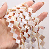 Freshwater Shell Bead Mother of Pearl Loose Beaded For Jewelry Making