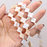 Freshwater Shell Bead Mother of Pearl Loose Beaded For Jewelry Making