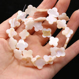 Freshwater Shell Bead Mother of Pearl Loose Beaded For Jewelry Making