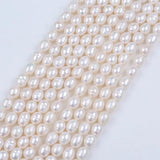 8-12mm Freshwater Beige Pearls Oval Shaped Beads DIY Bracelet Necklace