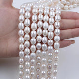 8-12mm Freshwater Beige Pearls Oval Shaped Beads DIY Bracelet Necklace