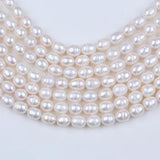 8-12mm Freshwater Beige Pearls Oval Shaped Beads DIY Bracelet Necklace
