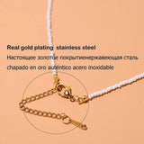 Yin Yang Shell Charm Choker Stainless Steel Necklace