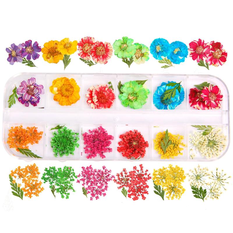 Dried Flowers Dry Plants for Resin Epoxy Necklace Craft DIY Nail Art