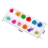 Dried Flowers Dry Plants for Resin Epoxy Necklace Craft DIY Nail Art