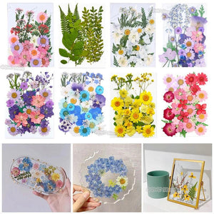 Dried Flowers Pressed Flowers Stickers DIY Coaster Epoxy Resin Pendant Jewelry