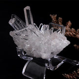 10Pcs Acrylic Mineral Display Stand Rack Shelf for Rocks Collectibles