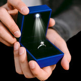 LED Light Jewelry Box Ring Necklace Velvet Storage Cases Display Case