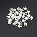 5pcs Natural Sea Shell Beads Rabbit Head Shape Charms for Jewelry Making