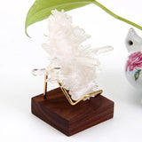 Wooden Crystal Displays Stone Base Glass Ball Holder Sphere Stand