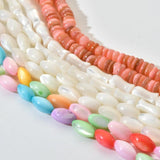 Seashell Beads Conch Shell Choker Necklace for Women