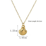 Stainless Steel Sea Shell Pendant Necklace for Women