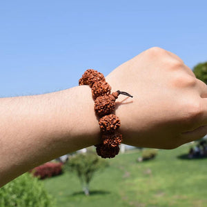 Nepal Rudraksha Men Bracelet 6 Mukhi Beads Buddha Meditation Jewelry