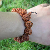 Nepal Rudraksha Men Bracelet 6 Mukhi Beads Buddha Meditation Jewelry