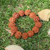 Nepal Rudraksha Men Bracelet 6 Mukhi Beads Buddha Meditation Jewelry