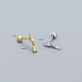 925 Silver Water Drop Zircon Stud Earrings for Women