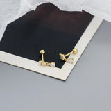925 Silver Water Drop Zircon Stud Earrings for Women