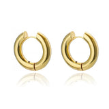 Stainless Steel Hoop Earrings Chunky Circle Plated Piercing Jewelry