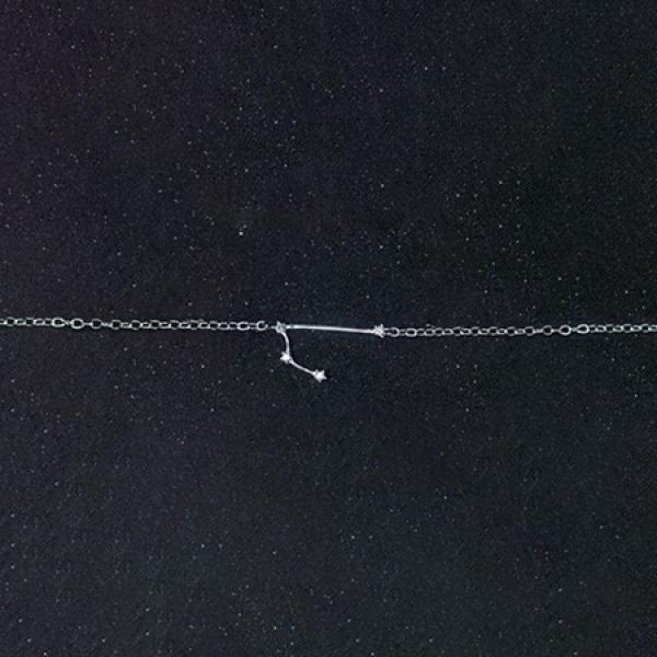925 Silver 12 Constellation CZ Bracelet Women Jewelry
