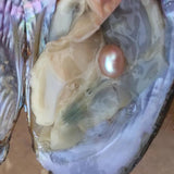 DIY Wish Oyster Locket Necklace Pink Purple Real Pearl Mussel Heart Pendant