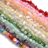 Colorful Shell Beads Mother Pearl Smooth Loose Spacer Beads DIY Jewelry