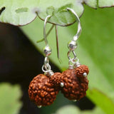 Natural Double Brown Round Rudraksha Silver Earrings