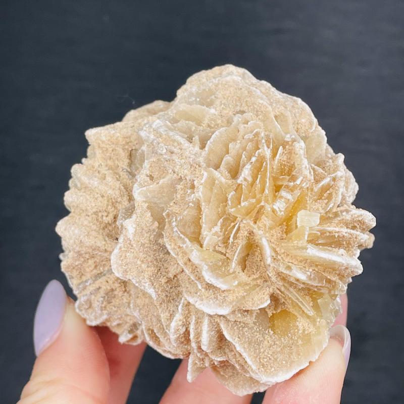 Moroccan Desert Rose Raw Stone Gem Mineral Specimen Home Decor