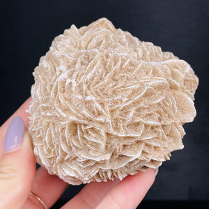 Moroccan Desert Rose Raw Stone Gem Mineral Specimen Home Decor