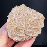 Moroccan Desert Rose Raw Stone Gem Mineral Specimen Home Decor