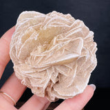 Moroccan Desert Rose Raw Stone Gem Mineral Specimen Home Decor