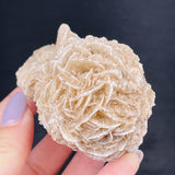 Moroccan Desert Rose Raw Stone Gem Mineral Specimen Home Decor