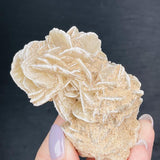 Moroccan Desert Rose Raw Stone Gem Mineral Specimen Home Decor