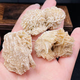 Moroccan Desert Rose Raw Stone Gem Mineral Specimen Home Decor