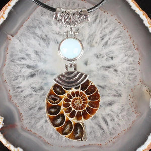 Ammonite Conch Shell Crystal Stone Pendant Bead