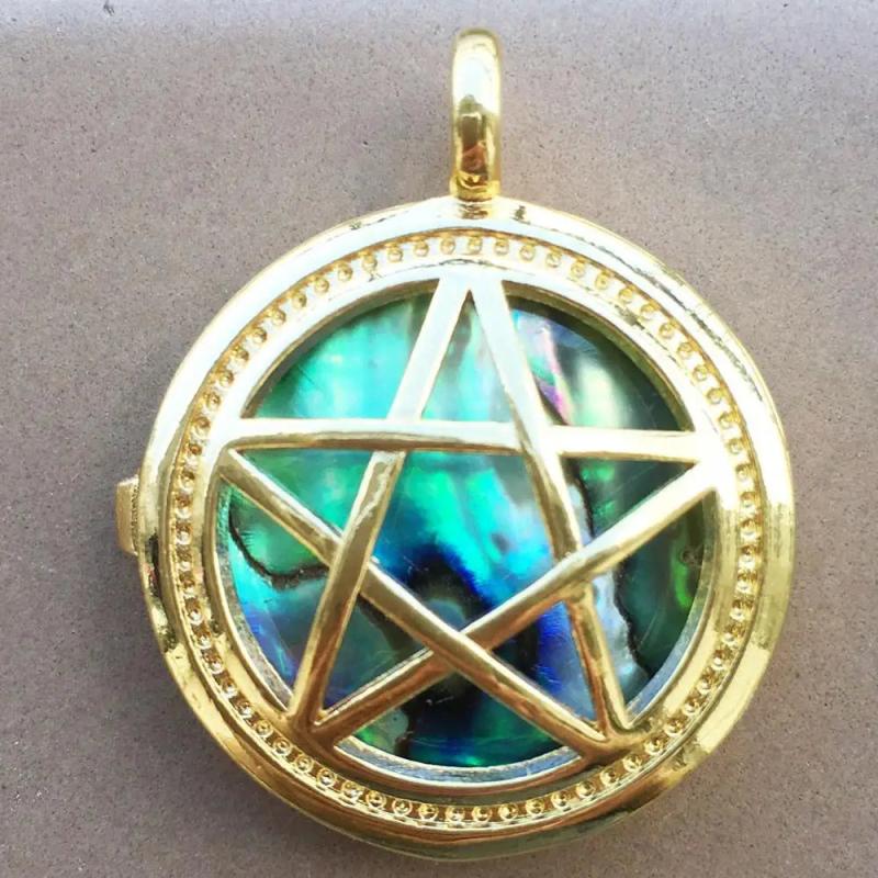 25mm Abalone Shell Round Art Pendant Bead 1pcs WFH753